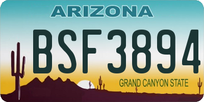 AZ license plate BSF3894