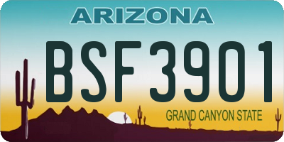 AZ license plate BSF3901