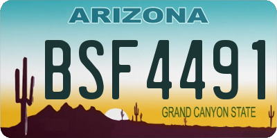 AZ license plate BSF4491