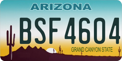 AZ license plate BSF4604