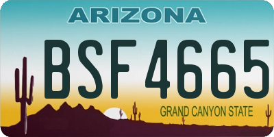 AZ license plate BSF4665