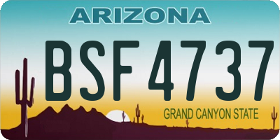 AZ license plate BSF4737