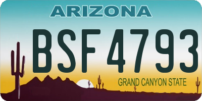 AZ license plate BSF4793