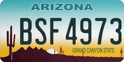 AZ license plate BSF4973
