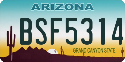 AZ license plate BSF5314