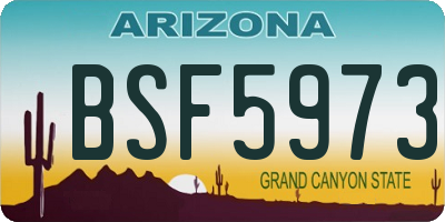 AZ license plate BSF5973