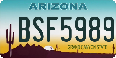 AZ license plate BSF5989