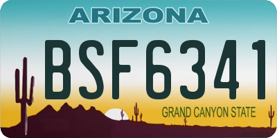AZ license plate BSF6341