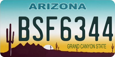 AZ license plate BSF6344