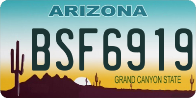 AZ license plate BSF6919