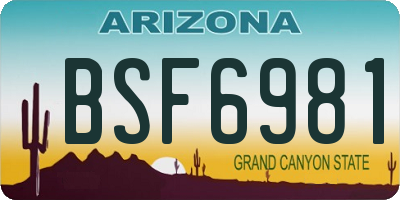 AZ license plate BSF6981