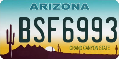 AZ license plate BSF6993