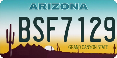 AZ license plate BSF7129