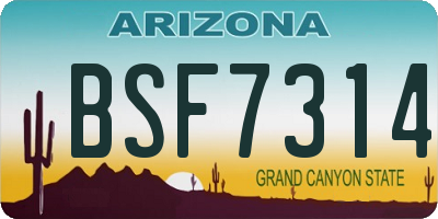 AZ license plate BSF7314