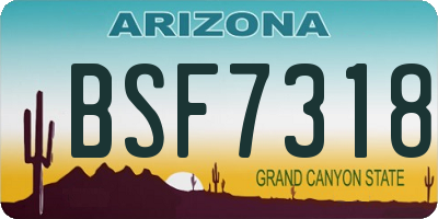 AZ license plate BSF7318