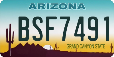 AZ license plate BSF7491