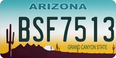 AZ license plate BSF7513