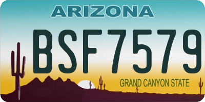 AZ license plate BSF7579