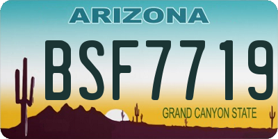 AZ license plate BSF7719