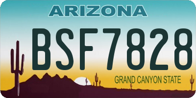AZ license plate BSF7828