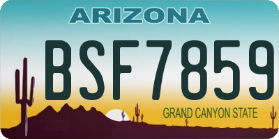 AZ license plate BSF7859