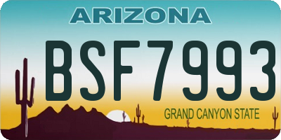 AZ license plate BSF7993