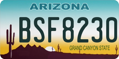 AZ license plate BSF8230