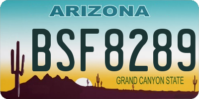AZ license plate BSF8289