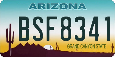 AZ license plate BSF8341