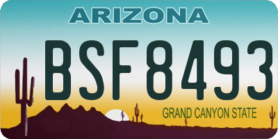 AZ license plate BSF8493