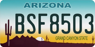 AZ license plate BSF8503