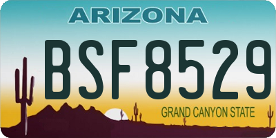 AZ license plate BSF8529