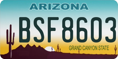 AZ license plate BSF8603