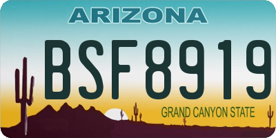 AZ license plate BSF8919