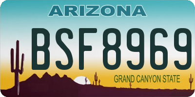 AZ license plate BSF8969