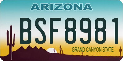 AZ license plate BSF8981