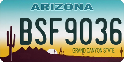 AZ license plate BSF9036