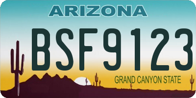 AZ license plate BSF9123