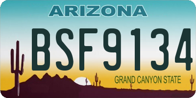 AZ license plate BSF9134