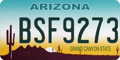 AZ license plate BSF9273