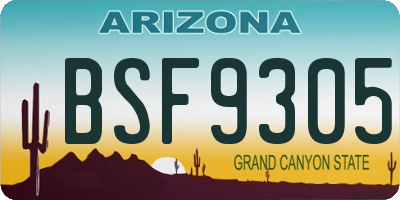 AZ license plate BSF9305