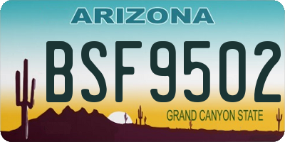 AZ license plate BSF9502