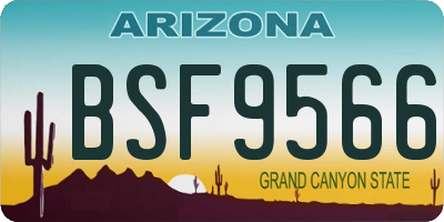 AZ license plate BSF9566