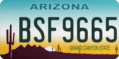 AZ license plate BSF9665