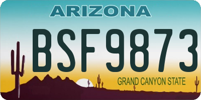 AZ license plate BSF9873