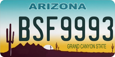 AZ license plate BSF9993