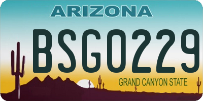 AZ license plate BSG0229