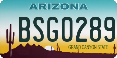 AZ license plate BSG0289