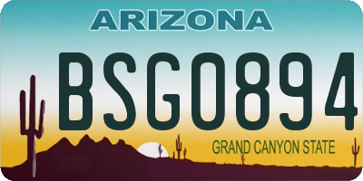 AZ license plate BSG0894