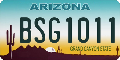 AZ license plate BSG1011